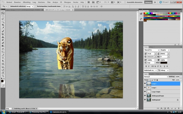 Creation of tiger taking a bath : Step 4